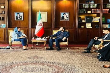 مقررة الأمم المتحدة تلتقي مع غريب أبادي