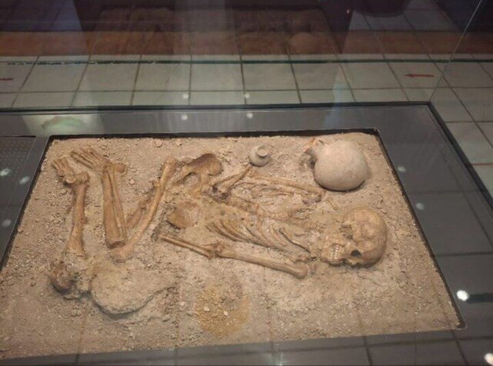 اسکلت۳۲۰۰ ساله یک زن در بابل کشف شد