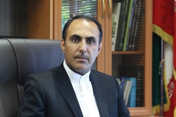 ثبت بیش از ۴۰ تشکل وخانه محیط زیستی در استان کرمان