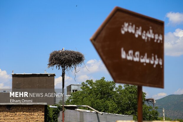 شهر لک لک‌ها در کردستان