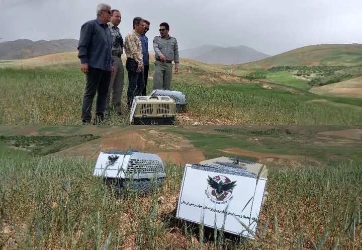 رهاسازی دو بهله عقاب و یک قطعه لک لک در بروجرد