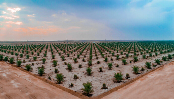 راههای توسعه پایدار و پایاندادن به محرومیت در بشاگرد چیست؟