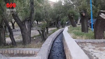 طبیعت بهاری حاشیه «سراب هنام» در لرستان