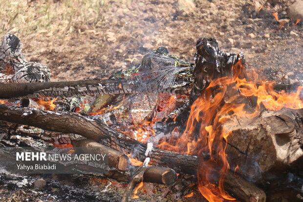 مهار آتش در زاگرس؛ وقتی مدیریت و مشارکت مردمی بر بحران غلبه می‌کند