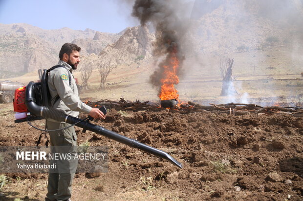 مهار آتش در زاگرس؛ وقتی مدیریت و مشارکت مردمی بر بحران غلبه می‌کند