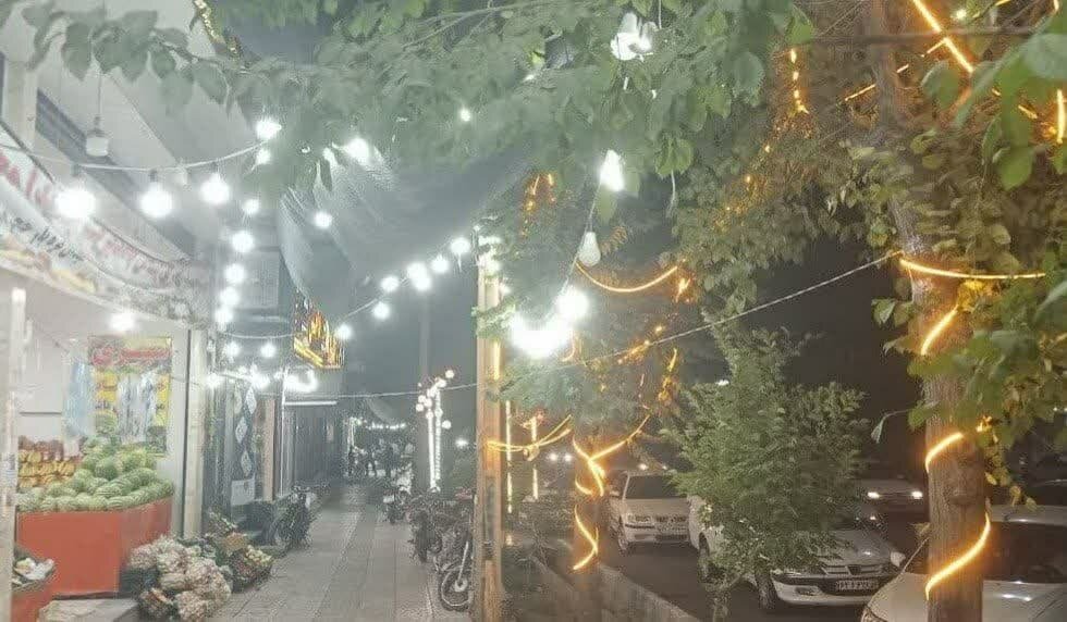 برق،مصرف،صنفي،غيرضروري،اخطار،حسيني،پور