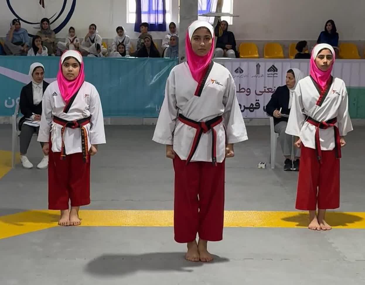 استان،تكواندو،رشته،بوشهر،سيد،مرداني،ورزشكاران،مسير،هيئت،بخت