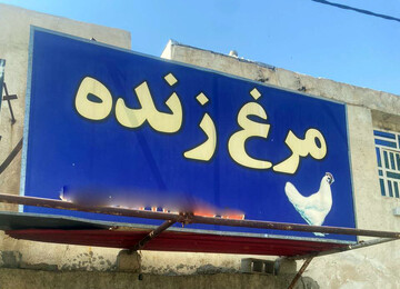 عرضه غیرمجاز مرغ زنده در شیراز و بی تفاوتی مسئولان