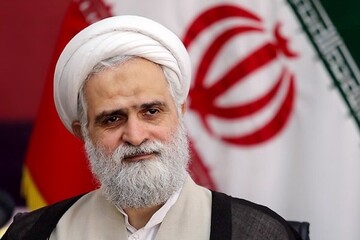 محمدیان: شهید لاریجانی مصلحت نظام را بالاتر از همه چیز می دانست