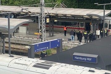 Twelve injured in knife attack in Germany's Hamburg