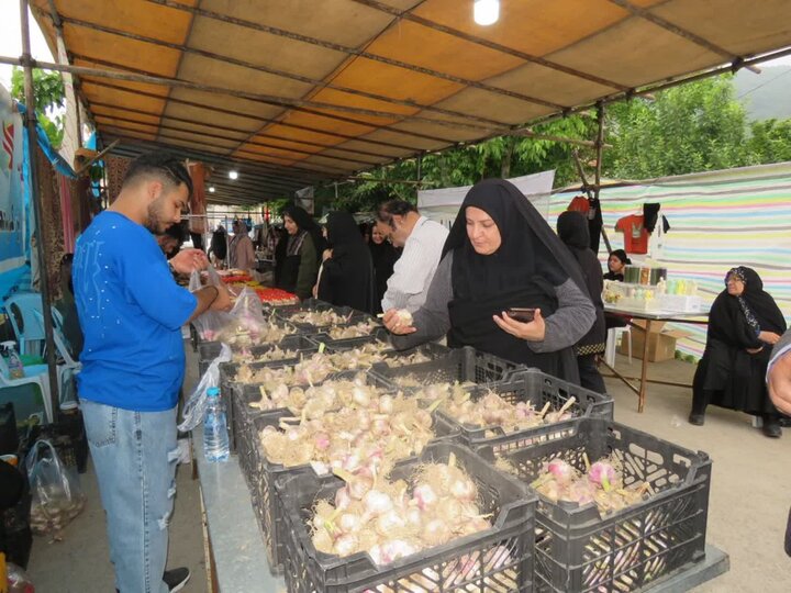 جشنواره سیر اَتو؛ سمفونی رنگ و عطر سرزمین مادری