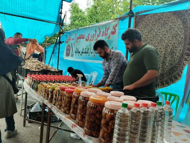 جشنواره سیر اَتو؛ سمفونی رنگ و عطر سرزمین مادری