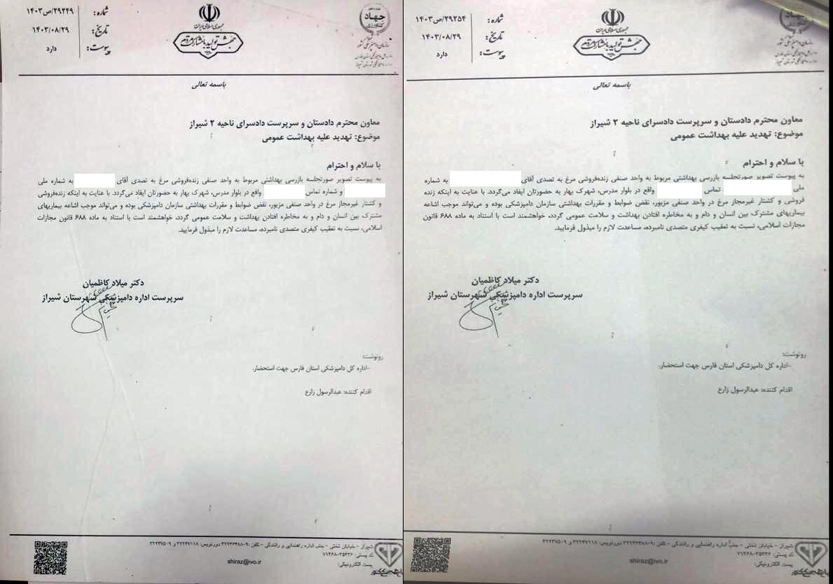 عرضه غیرمجاز مرغ زنده در شیراز و بی تفاوتی مسئولان