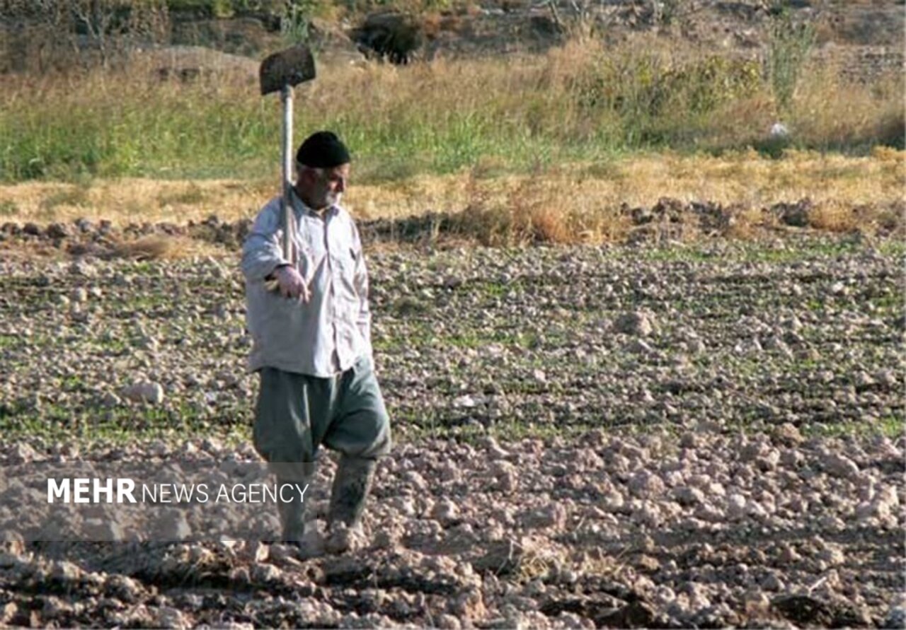 آب،اصفهان،شرق،گندم،طباطبايي،كشاورزي،مترمكعب،خسارت،كشاورز،كشت ...