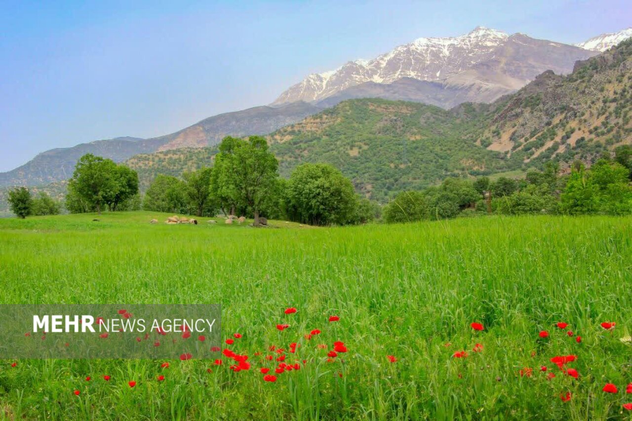 طبيعي،منابع،اتحاديه،عليمرداني،تمديد،پروانه،دام