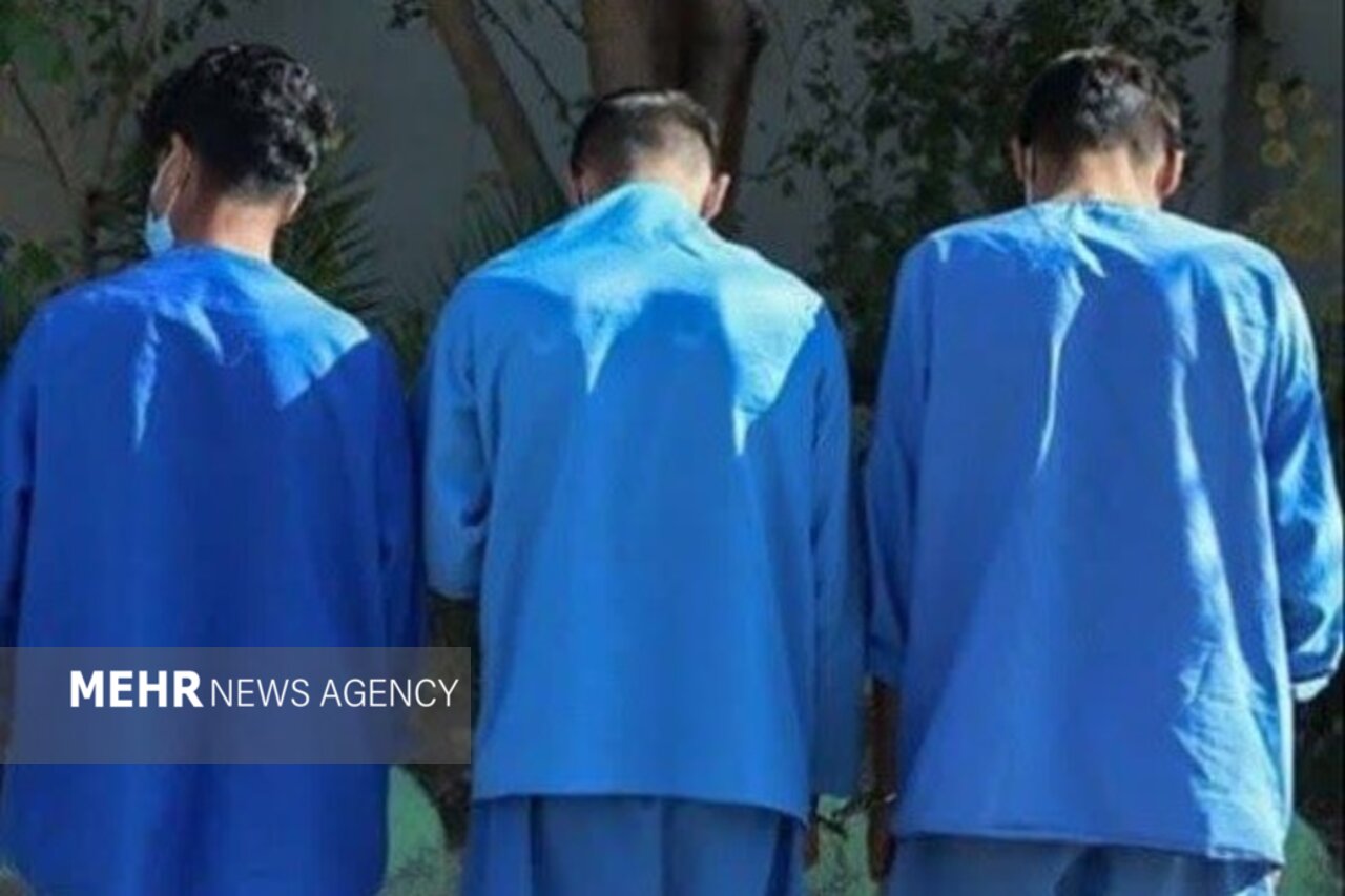 حفاري،تاجيك،ورامين،متهمان،قضائي،مراجع،دستگيري