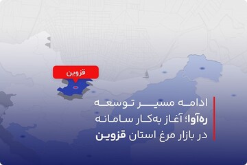 ادامه مسیر توسعه ره‌آوا؛ آغاز به‌کار سامانه در بازار مرغ استان قزوین