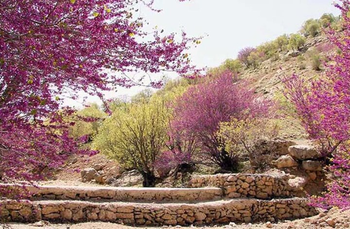 مەشهەد؛ شارێکی زیارەتی و گەشتیاری سەرەنجڕاکێش
