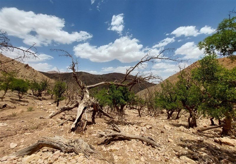آب،منابع،بحران،مديريت،باغداران،استان،زيرزميني،كاهش،باغداري،آ ...