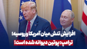 ترامپ: پوتین دیوانه شده است
