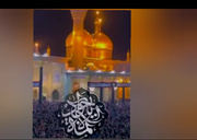 امام جواد (ع) مبارز خستگی ناپذیر