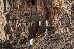مسجد الفسخ