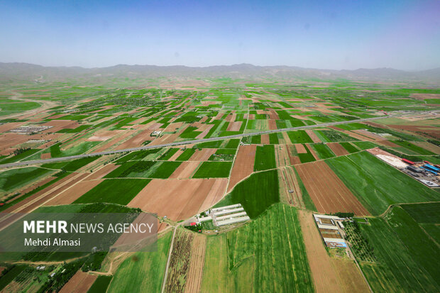 فرش سبز زمین
