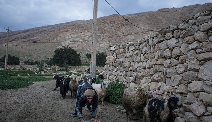 رنجنامه یک خانواده عشایری با ۵ معلول؛ زندگی در عمق محرومیت