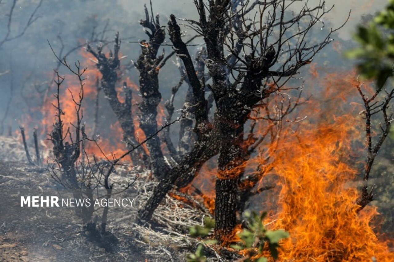 حریق سطحی یک هکتار از اراضی کشل ورزل رشت مهار شد حریق سطحی یک هکتار از اراضی کشل ورزل رشت مهار شد