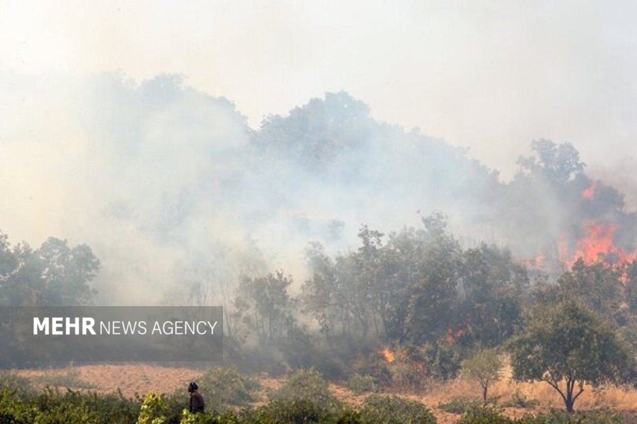 عمدی بودن ۹۹ درصد آتشسوزی های طبیعت در فارس