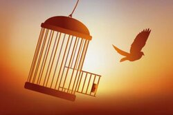 ۲۳۵ زندانی جرایم غیرعمد اصفهان در سه ماه اول سال آزاد شدند