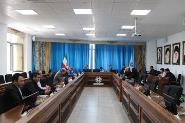 صادقی:با گفتار درمانی نمی توان معضل سگ های بلا صاحب را حل کرد