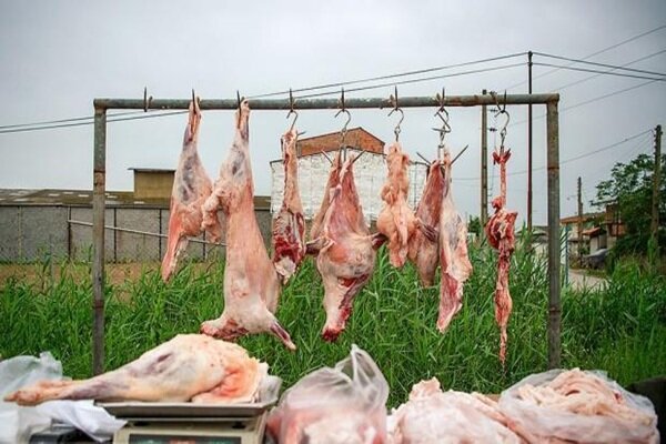 لزوم مقابله با کشتارهای غیرمجاز دام در چهارمحال و بختیاری لزوم مقابله با کشتارهای غیرمجاز دام در چهارمحال و بختیاری