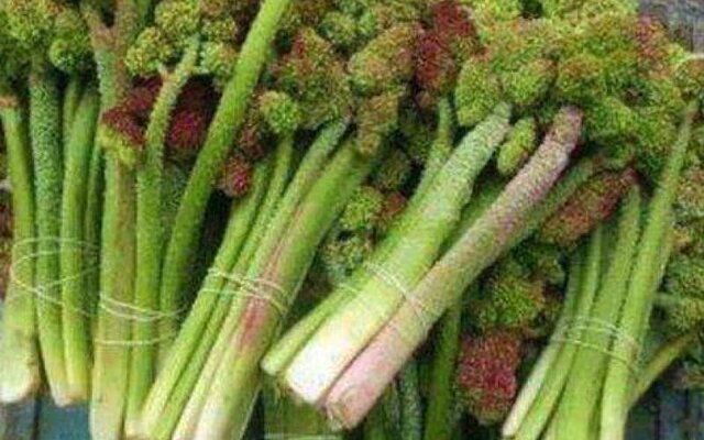 این خوراکی ترش، قلب و کبدتان را نجات میدهد