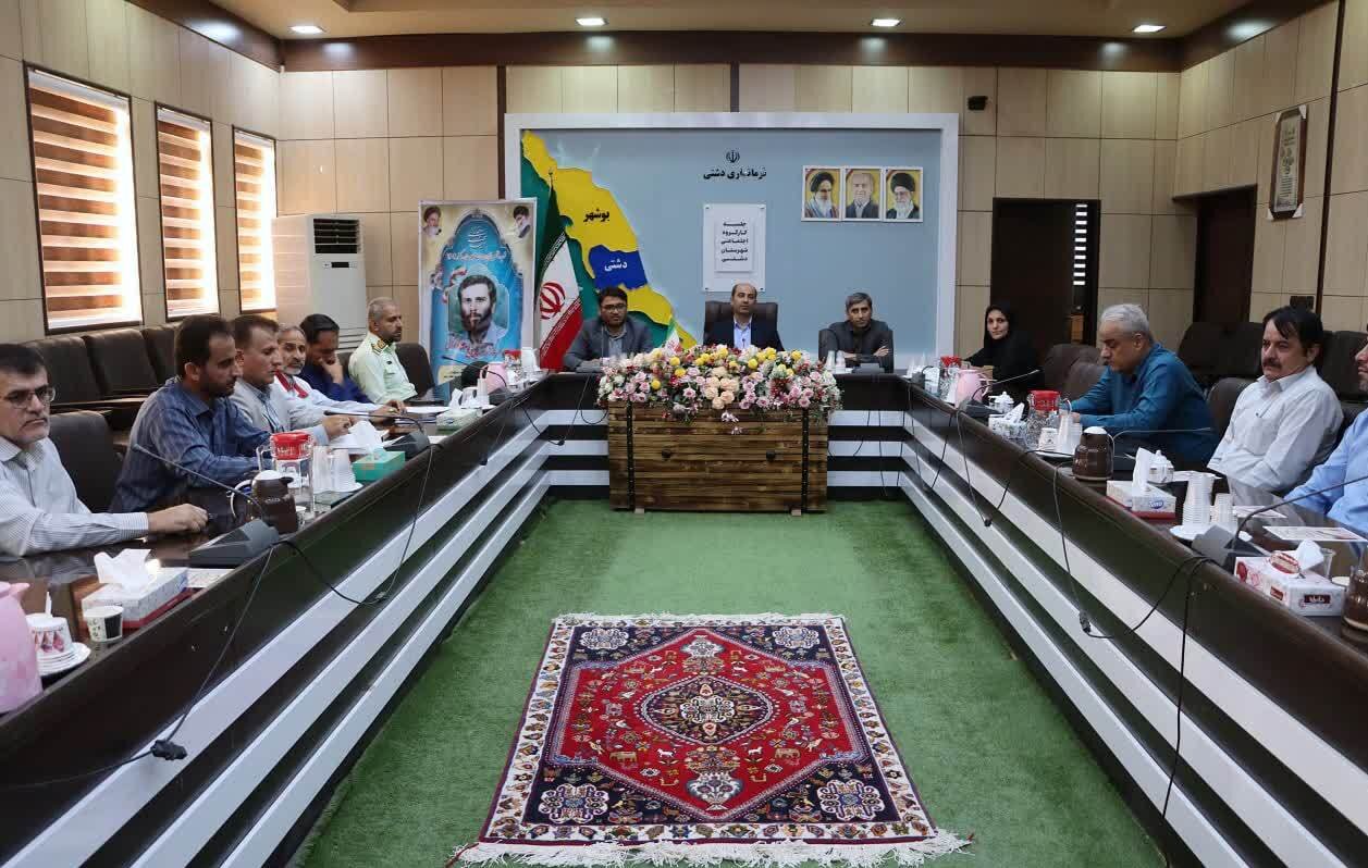 تفرجگاههای دشتی ساماندهی شوند؛ لزوم رسیدگی به سواحل تفرجگاههای دشتی ساماندهی شوند؛ لزوم رسیدگی به سواحل