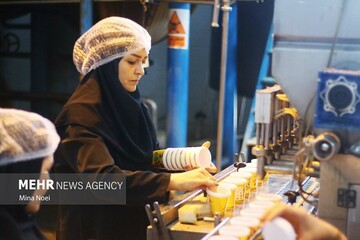 ایجاد ۵۹۸ فرصت شغلی برای مددجویان زاهدانی