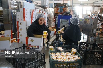 از شکل‌گیری تعاونی‌های مشاغل خانگی حمایت می‌کنیم