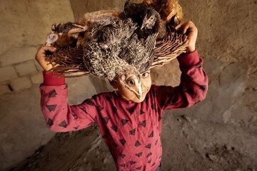وێنەگری بۆکانی میدالیای زێڕی سیلەی تورکیای بردەوە