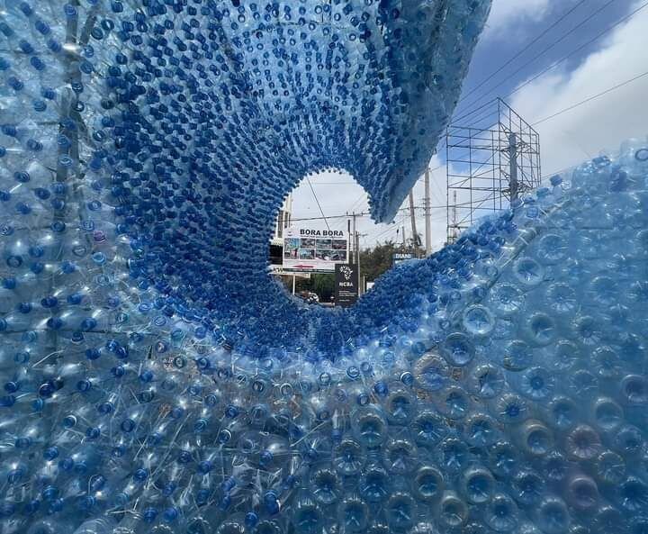 روایتی از هنر و محیطزیست؛ هنرمندانی که صدای زمین شدند!