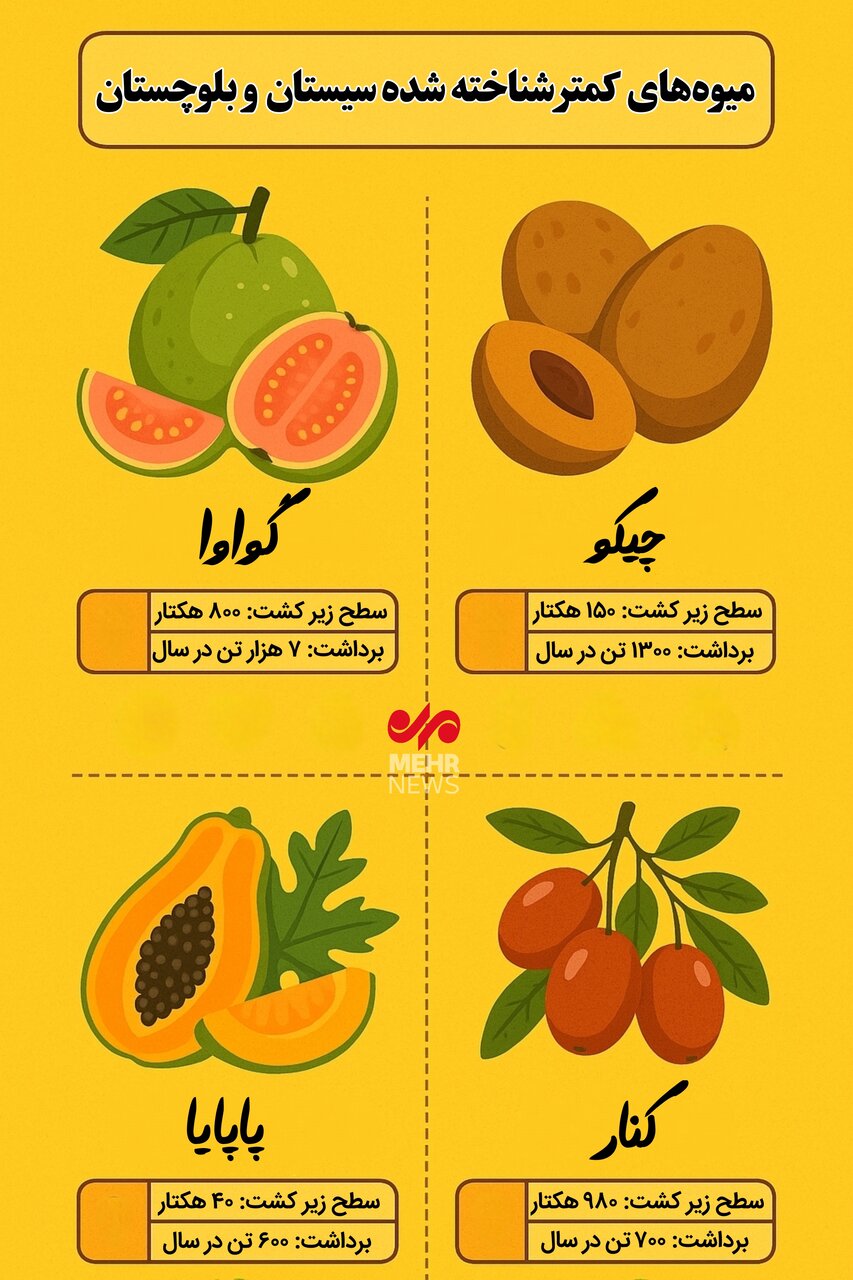 اینفوگرافیک | میوههای کمتر شناخته شده سیستان و بلوچستان