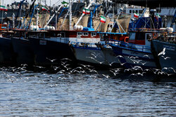 ایران باید با دیپلماسی اقتصادی مانع تحقق کریدور زنگزور شود
