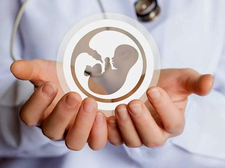 لایحه‌ای برای ضابطه‌مند کردن اهدای تخمک