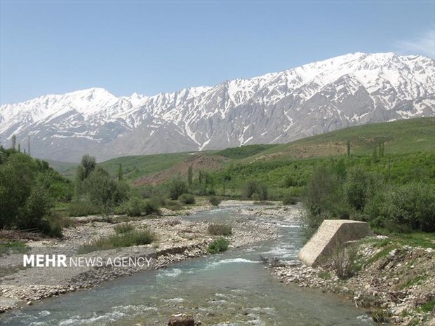 پادنا در چنگال بیتفاوتی؛ ماندگان قفل شد، مصوبه محیطزیست خاک میخورد
