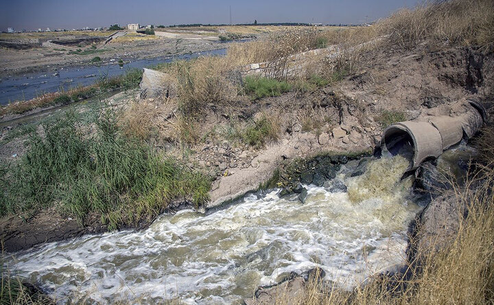 تهدید خاموش در سفره شیرازیها؛ آبیاری محصولات کشاورزی با پساب فاضلاب