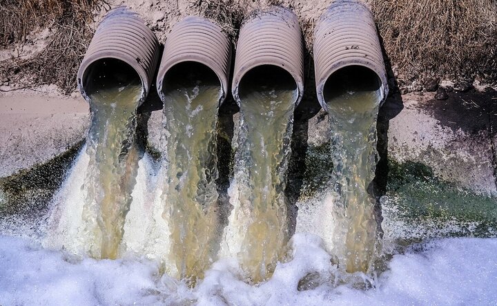 تهدید خاموش در سفره شیرازیها؛ آبیاری محصولات کشاورزی با پساب فاضلاب