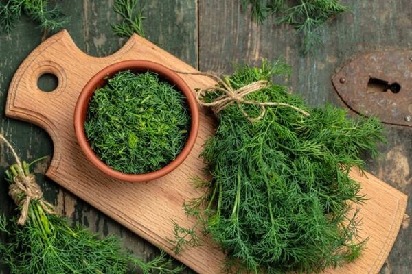 درمان طبیعی نفخ، بیخوابی و کلسترول درمان طبیعی نفخ، بیخوابی و کلسترول