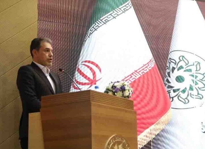 رشد ۲ درصدی مشارکت اقتصادی بانوان در ایران