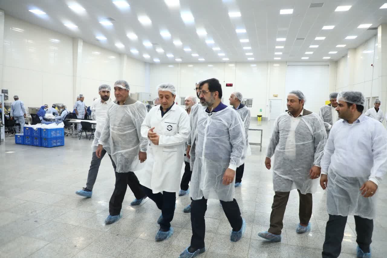 توليد،صنعتي،بازديدها،موانع،پيگيري،توليدي،واحدهاي،تأمين،حمايت ...
