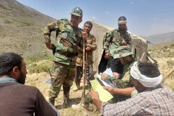 شاخ‌شماری ۴۲۰۰ رأس دام در دماوند