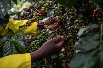 Africa's struggle against colonialism